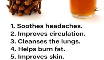 18 Powerful Ways to Use Clove Tea: Your Warm Ally for Natural Wellness Boosts?