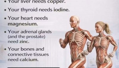 Foods That Help Boost Collagen Production Naturally