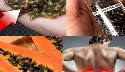 Papaya Seeds: How to Use Them Safely for Digestion, Gut Health, and Inflammation Support