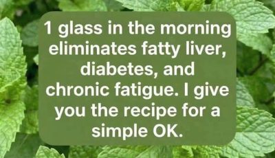 Peppermint juice with lemon: benefits, medicinal uses and how to prepare it correctly