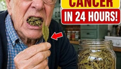1 Leaf, Blood Sugar, Oxygen, and Inflammation: What This Plant Triggers That Most People Never Notice
