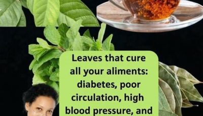 help your well-being: natural support for diabetes, poor circulation, high blood pressure and more