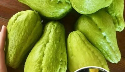 Benefits and Uses of Chayote Juice: A Refreshing Boost for Your Health