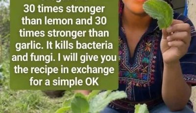 Oregano Leaf Remedy for Health