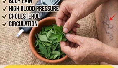Unlock the Unexpected Power of Moringa Leaves: Your Gentle Natural Fix for Everyday Wellness