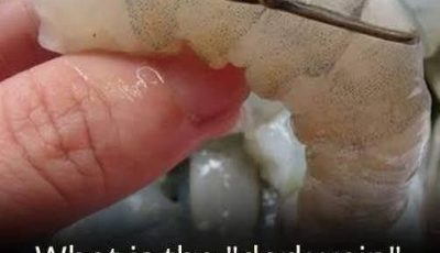 The “vein” of the shrimp: a little-known culinary detail