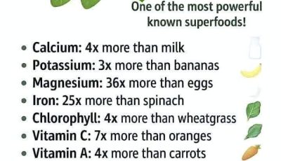 How To Use The Moringa Leaf Remedy That Quietly Nourishes Your Whole Body