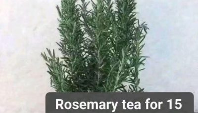 Simple Rosemary Tea Recipe