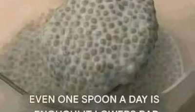 CHIA SEED PUDDING