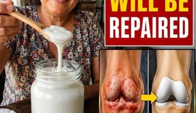 97-year-old orthopedic doctor reveals: A single food can regenerate knee cartilage in just 24 hours! I’ll share the recipe in exchange for a simple