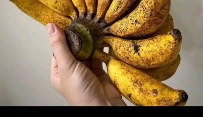 What Happens to Your Body When You Eat a Banana Before Bed?