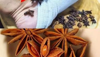 Put Star Anise on Your Feet and Stop Spending Money at the Pharmacy (Did You Know That?)