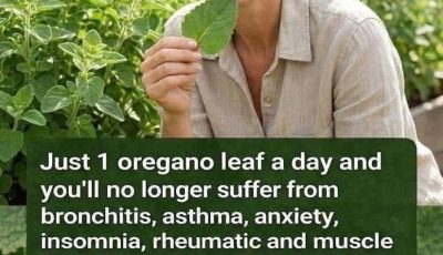 Oregano Leaves: Benefits, Uses & What Science Really Says
