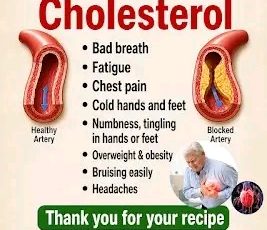 High Cholesterol Symptoms: What You Need to Know to Protect Your Heart Health