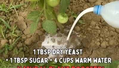 Mix 1 tbsp dry yeast + 1 tbsp sugar into 4 cups of warm water.