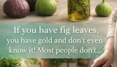 The Power of Fig Leaves: Hidden Benefits in These Overlooked Leaves That Could Transform Your Wellness Routine