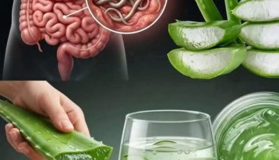 Aloe Vera Water: The Detox Drink That Transforms Your Health from the Inside Out