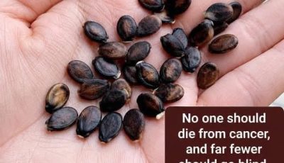 Apple Seeds and Cancer Claims: What Science Actually Says