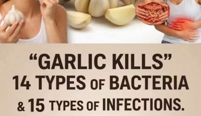 The benefits of garlic and honey for immunity*