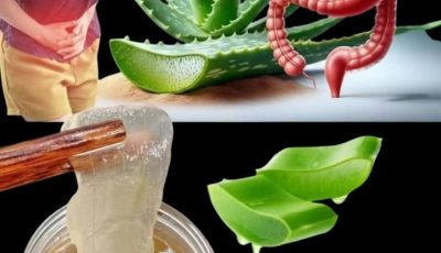 12 Reasons Women Should Drink Aloe Vera Water with Honey Every Day
