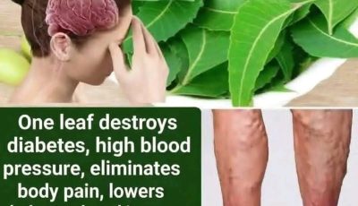 Neem Leaves for Better Health: Benefits, Uses, and How to Consume Them