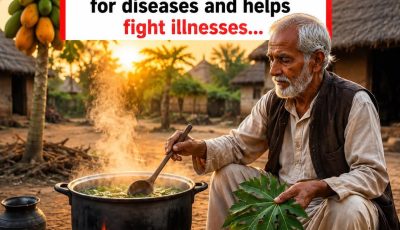 Natural Papaya Leaf Drink Many People Enjoy to Support Everyday Wellness