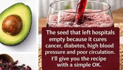 Avocado Seed Tea: Health Benefits, Uses, and How to Prepare It