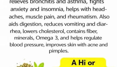Oregano: Nature’s Most Powerful Herb and Its Health Benefits