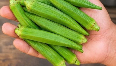 Doctors reveal that eating okra regularly can cause… See more