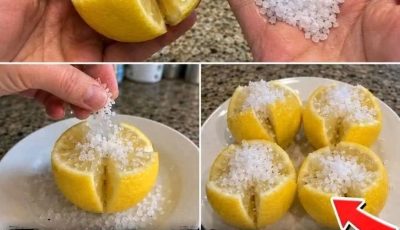 Cut a Lemon in Half and Place it in Your Room: The Hidden Benefits of Salt and Lemon