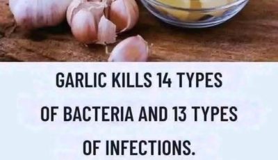 GARLIC KILLS 14 TYPES OF BACTERIA AND 13 TYPES OF INFECTIONS