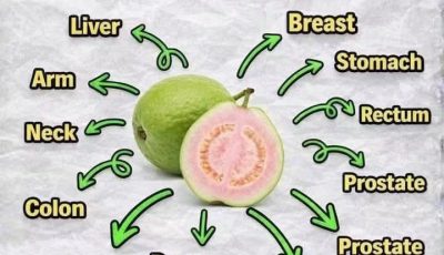 Incredible Health Benefits of Guava: A Natural Superfruit for Immunity, Digestion, and Blood Sugar Support