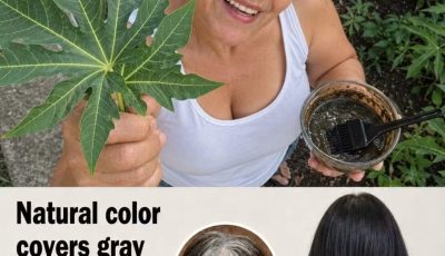 Papaya Leaf and Black Sesame Trigger a Darker, Fuller Hair Shift