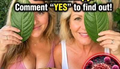 This Popular Medicinal Plant: Potential Benefits, Risks & What Research Really Say