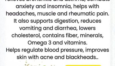 Oregano: The Small Plant with Big Health Benefits