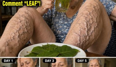 A Single Bay Leaf Triggers a Full-Body Reset for Blood Pressure, Sugar, and Circulation