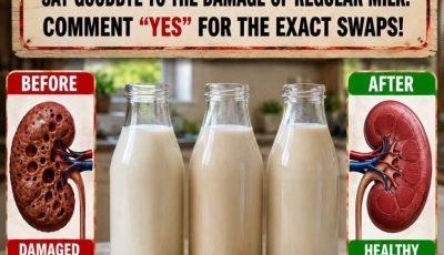 High Creatinine After 60? 3 Milk Alternatives for Kidney-Friendly Eating