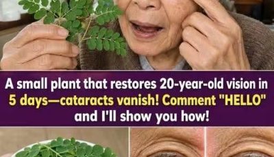 Moringa Triggers a Hidden Eye Reset for Blurry, Aging Vision