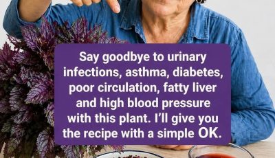Why Most Seniors Are Overlooking This Purple-Leaved “Solution” in Their Garden